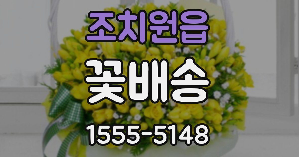 조치원읍 꽃배송