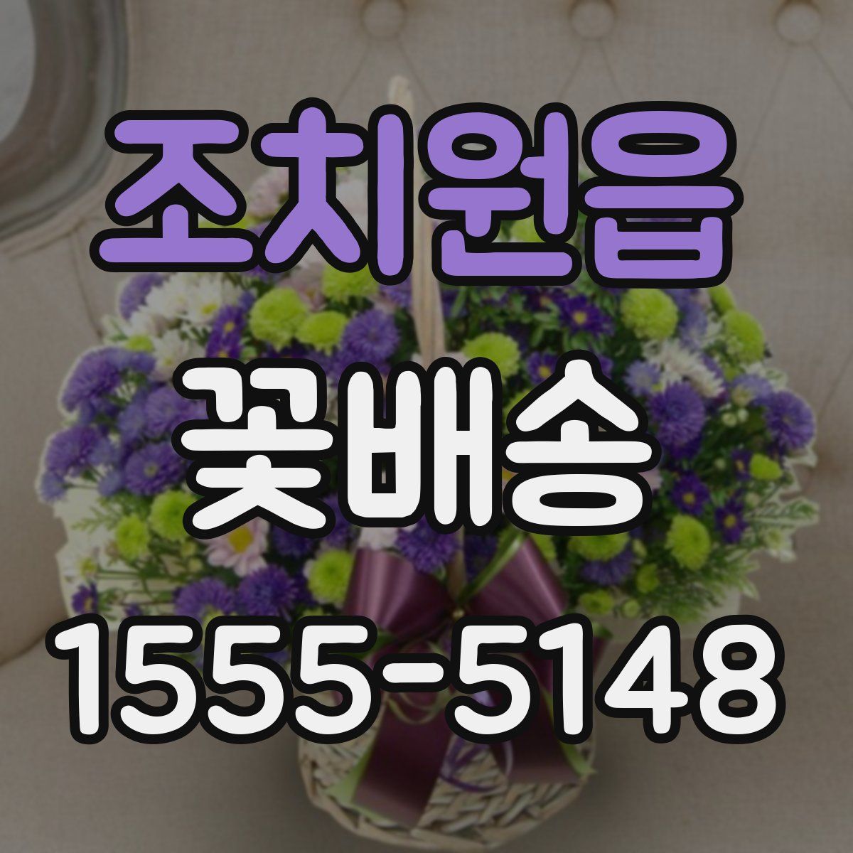 조치원읍 꽃배송