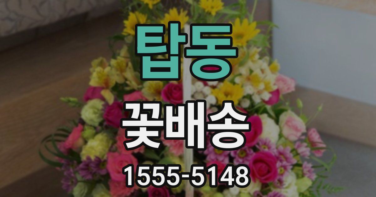 탑동 꽃배송