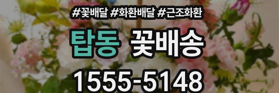 탑동 꽃배송