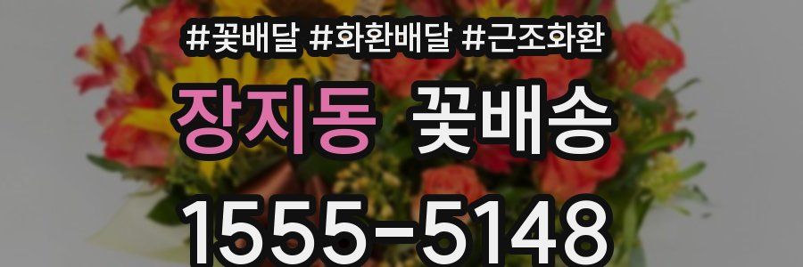 장지동 꽃배송