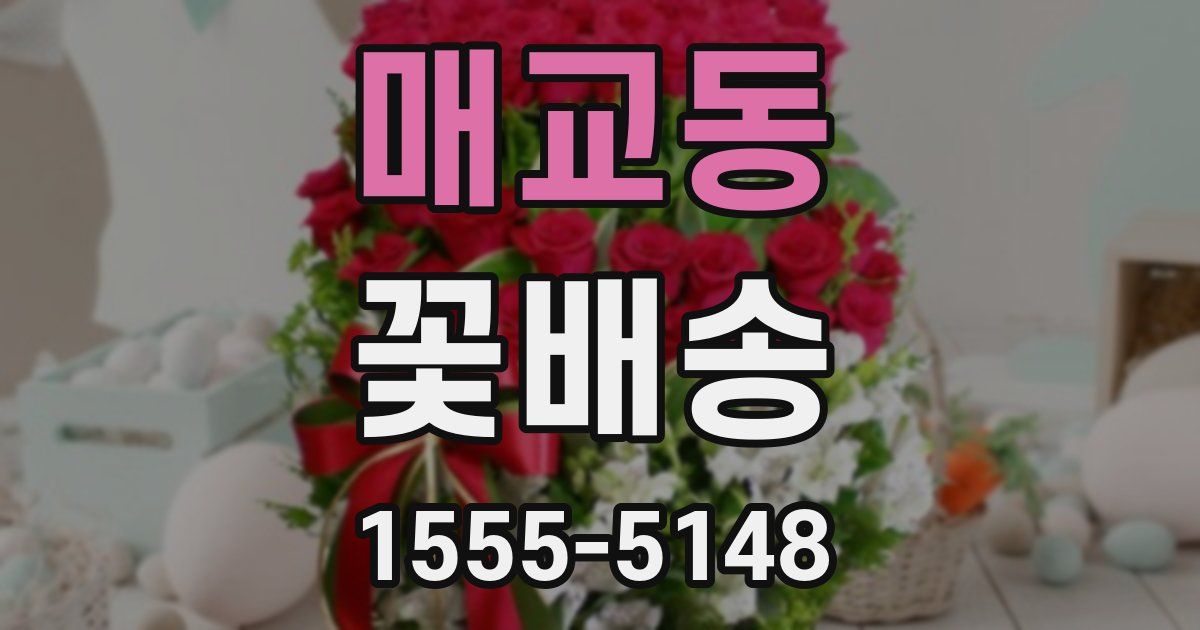 매교동 꽃배송