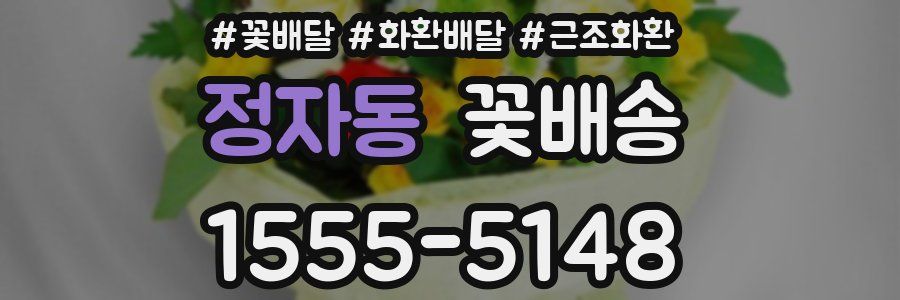 정자동 꽃배송