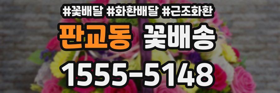 판교동 꽃배송