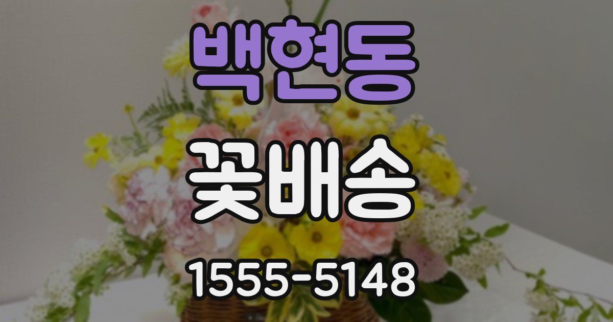 백현동 꽃배송