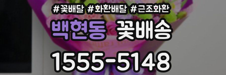 백현동 꽃배송
