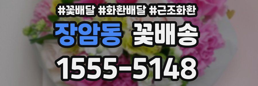 장암동 꽃배송