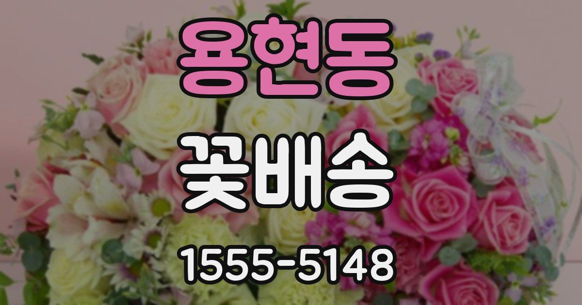 용현동 꽃배송