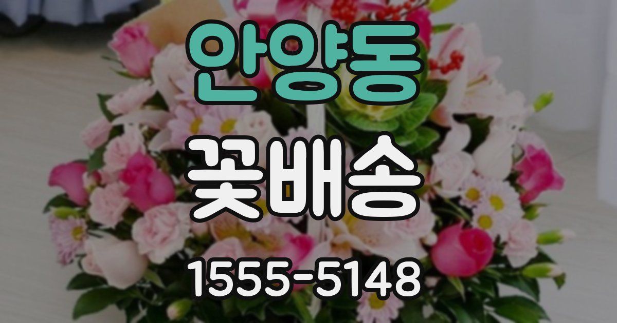 안양동 꽃배송