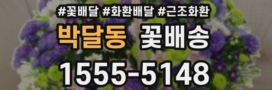 박달동 꽃배송