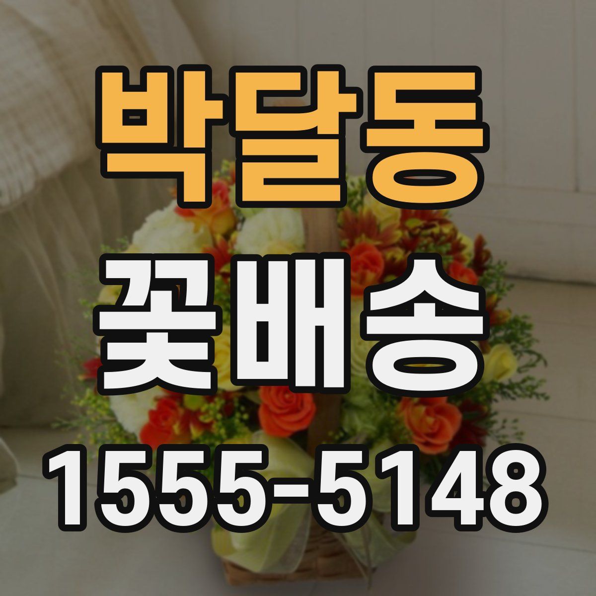 박달동 꽃배송