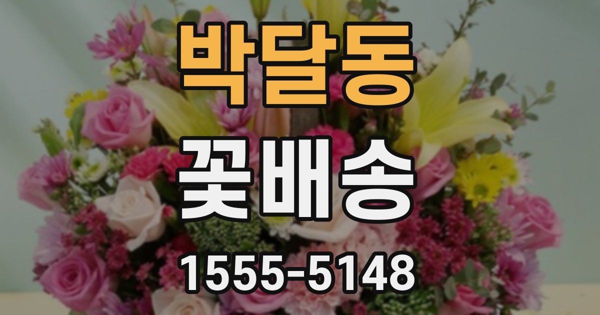 박달동 꽃배송