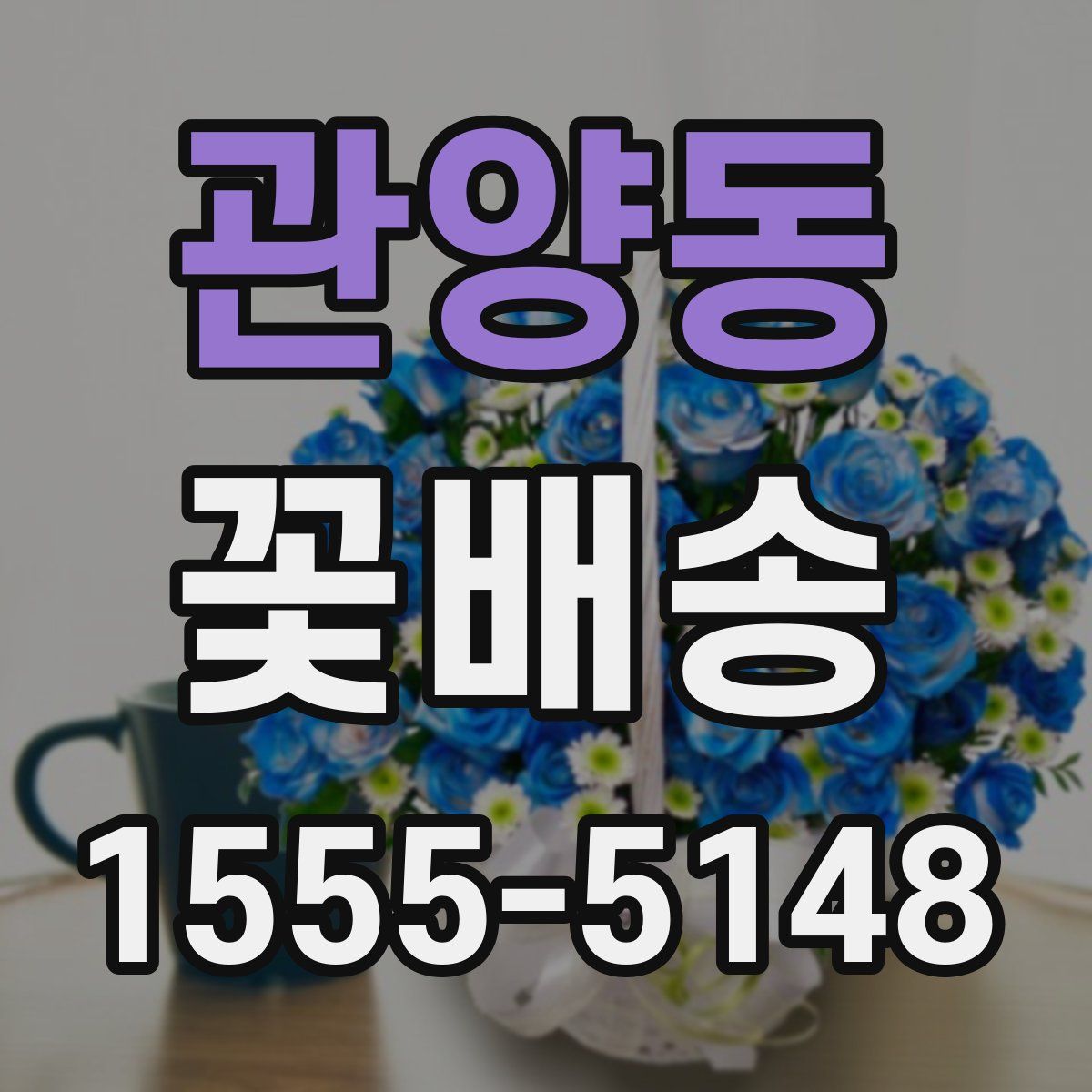 관양동 꽃배송