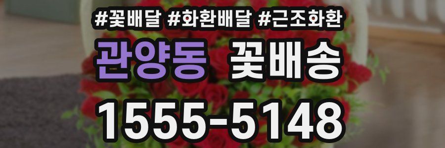 관양동 꽃배송