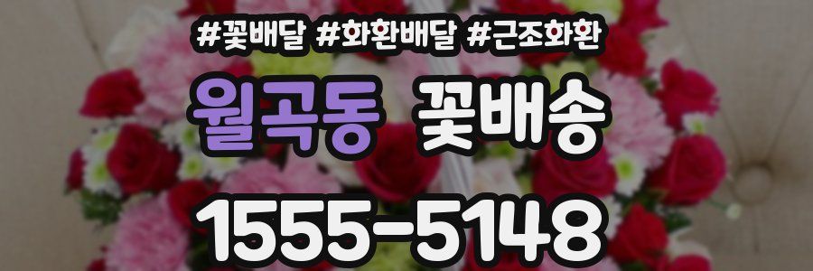 월곡동 꽃배송
