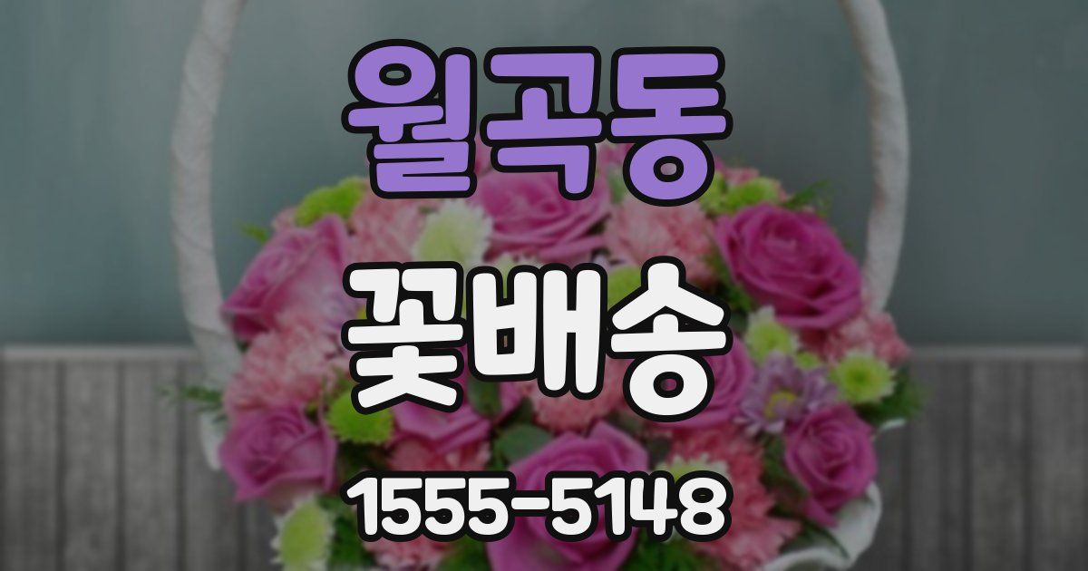 월곡동 꽃배송