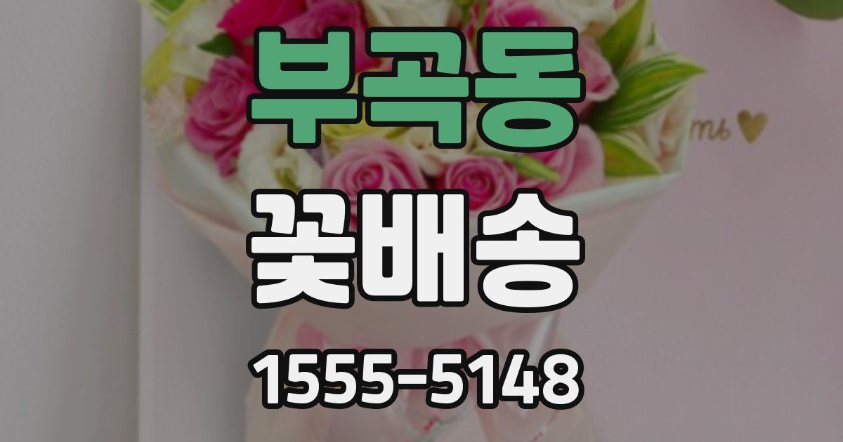 부곡동 꽃배송