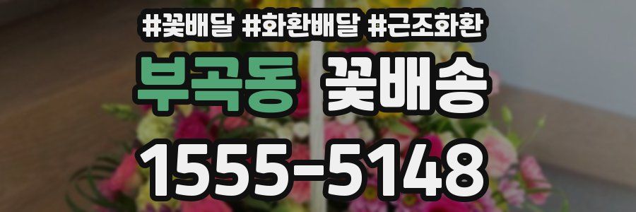 부곡동 꽃배송