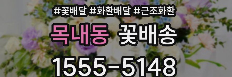 목내동 꽃배송
