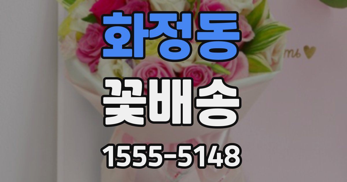 화정동 꽃배송