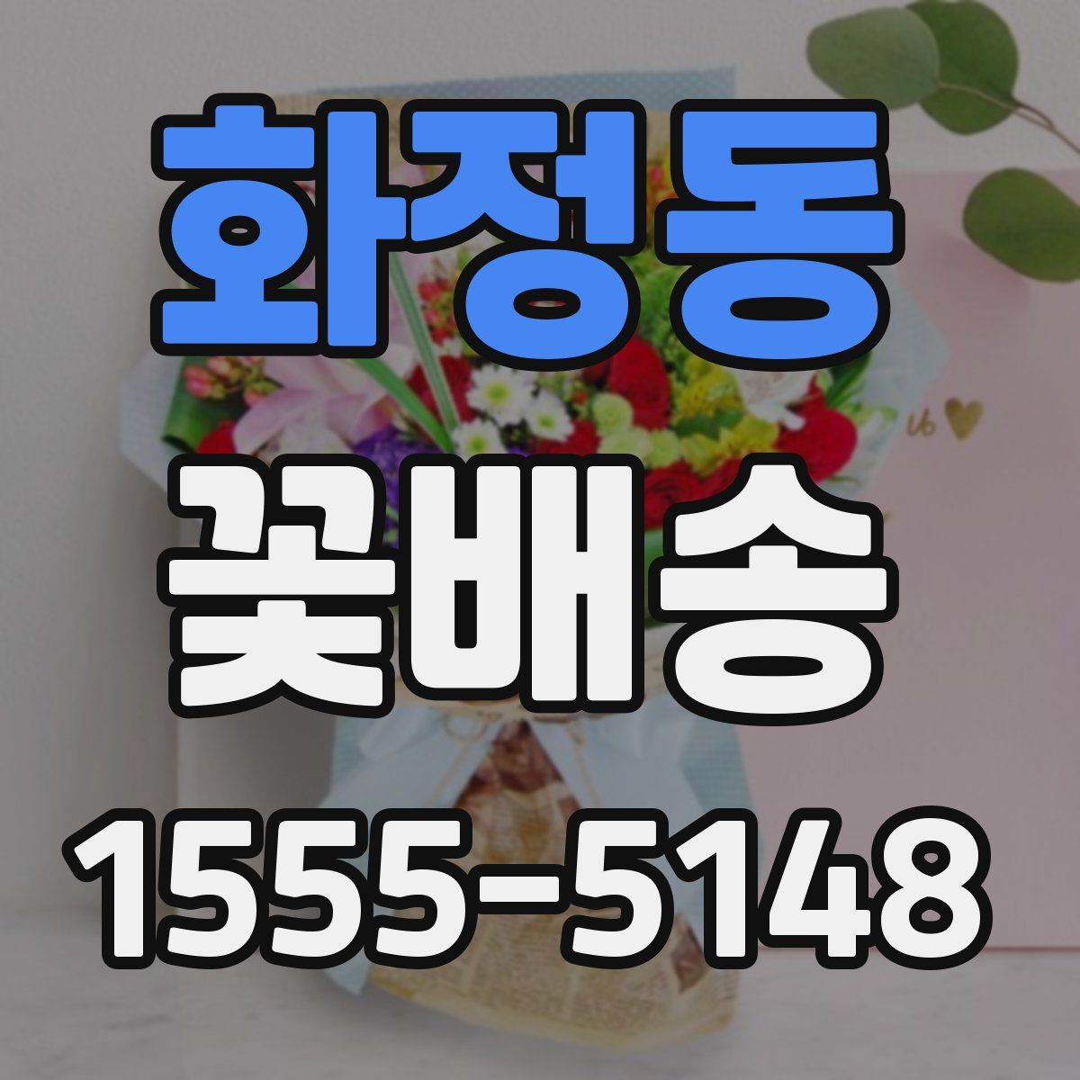 화정동 꽃배송