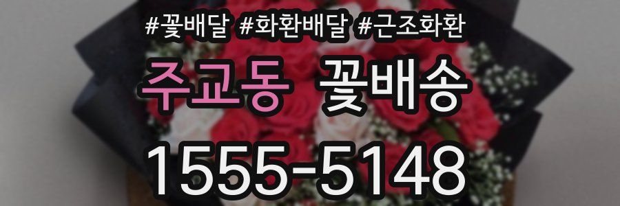 주교동 꽃배송