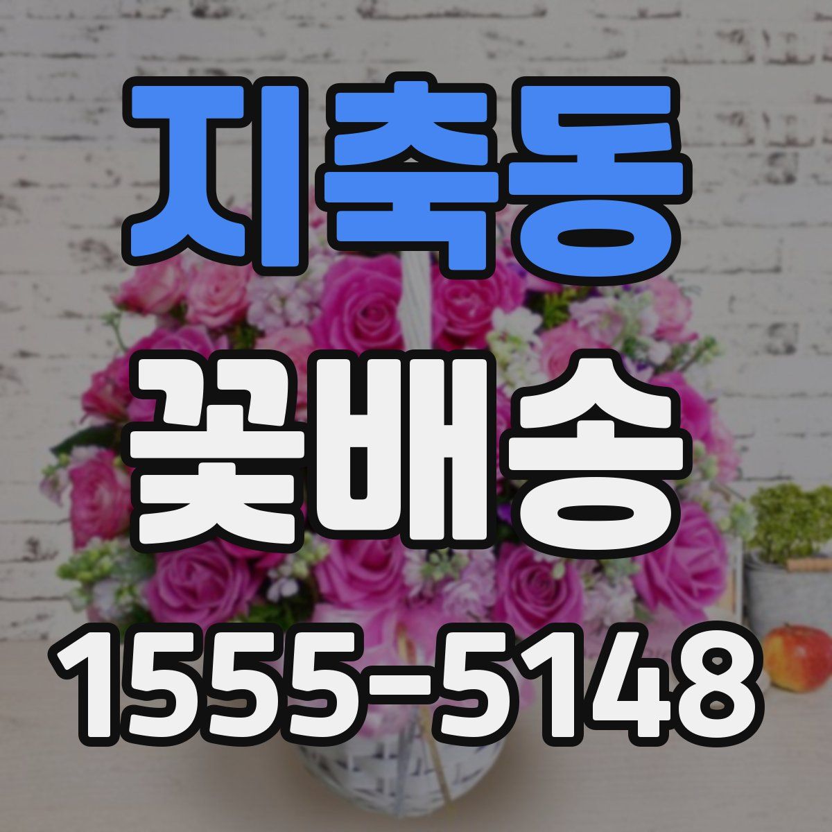 지축동 꽃배송
