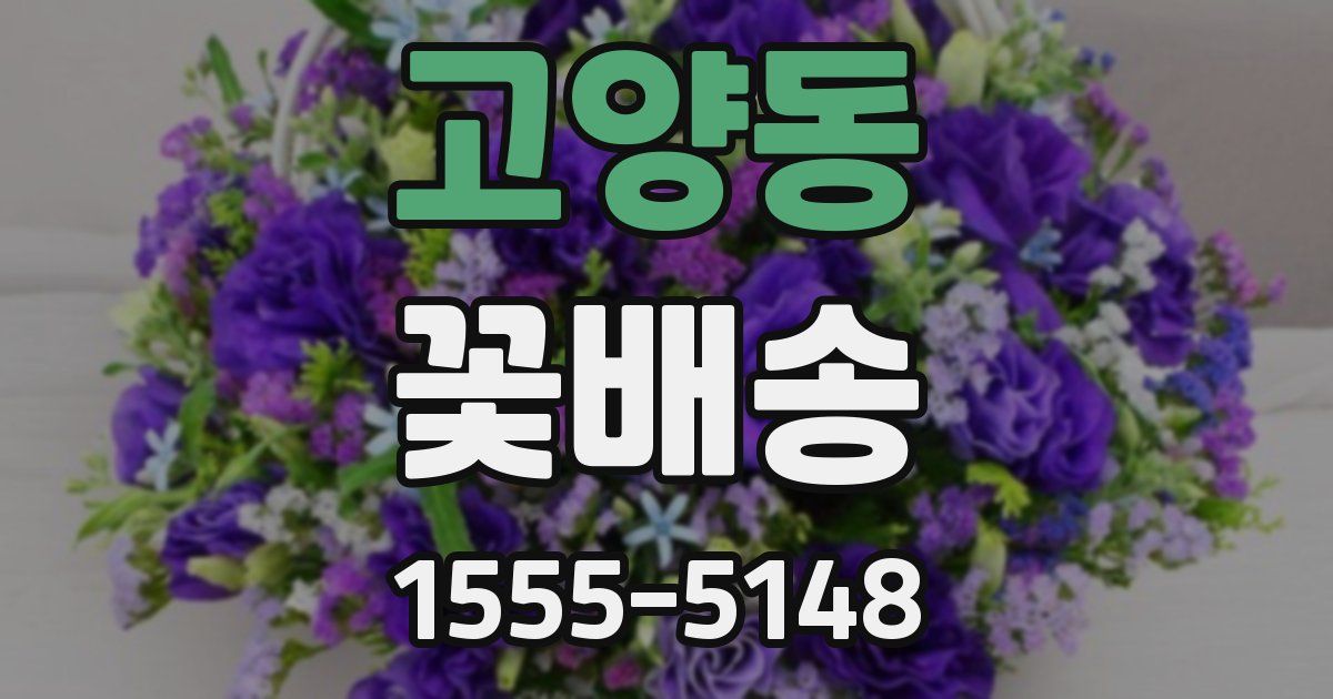 고양동 꽃배송