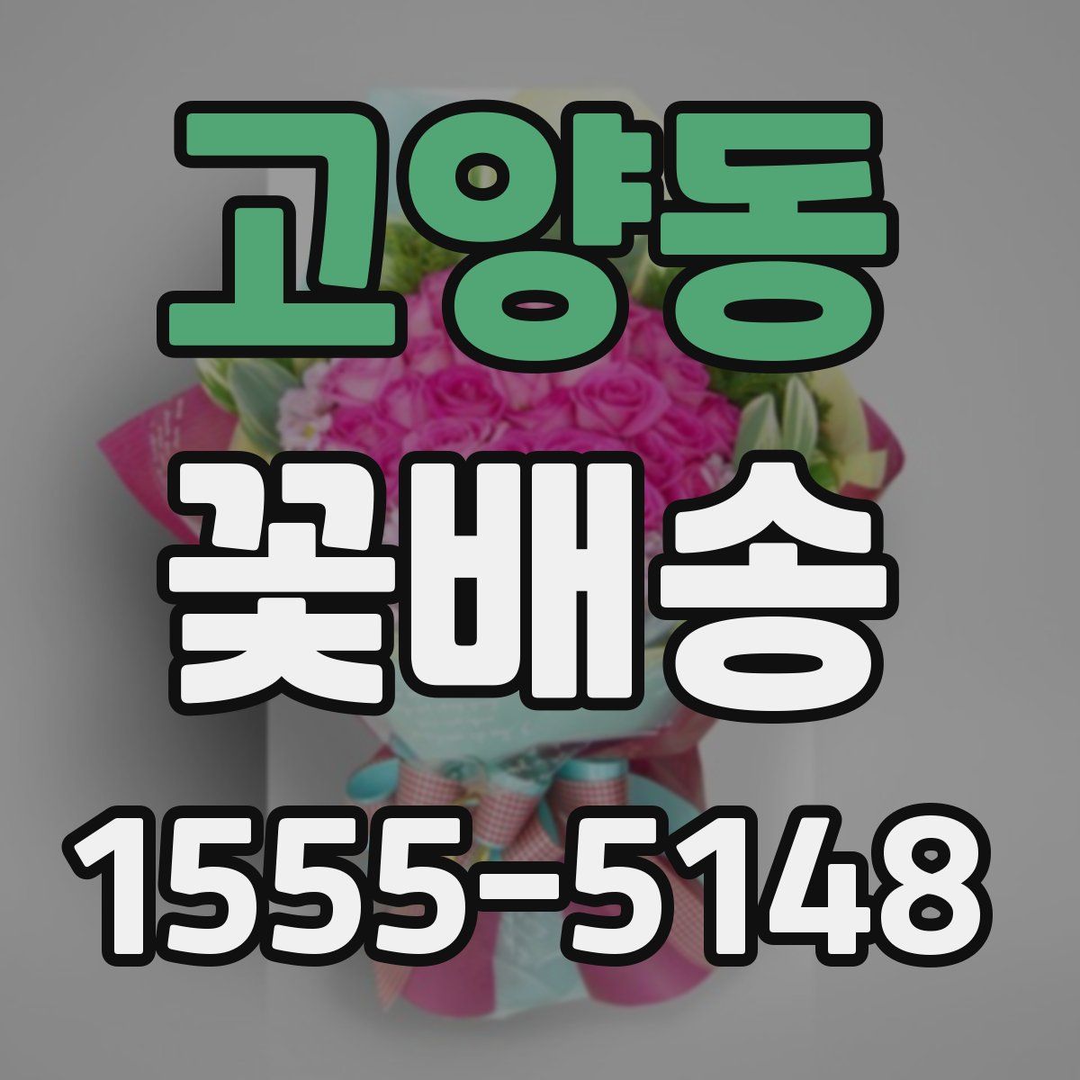고양동 꽃배송