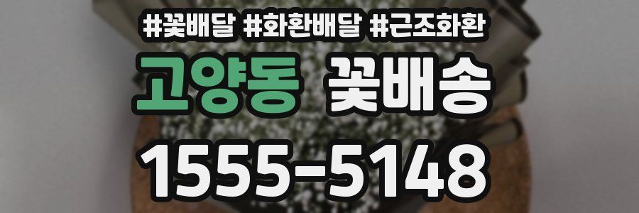 고양동 꽃배송