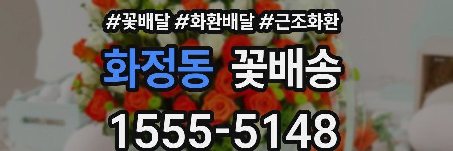 화정동 꽃배송