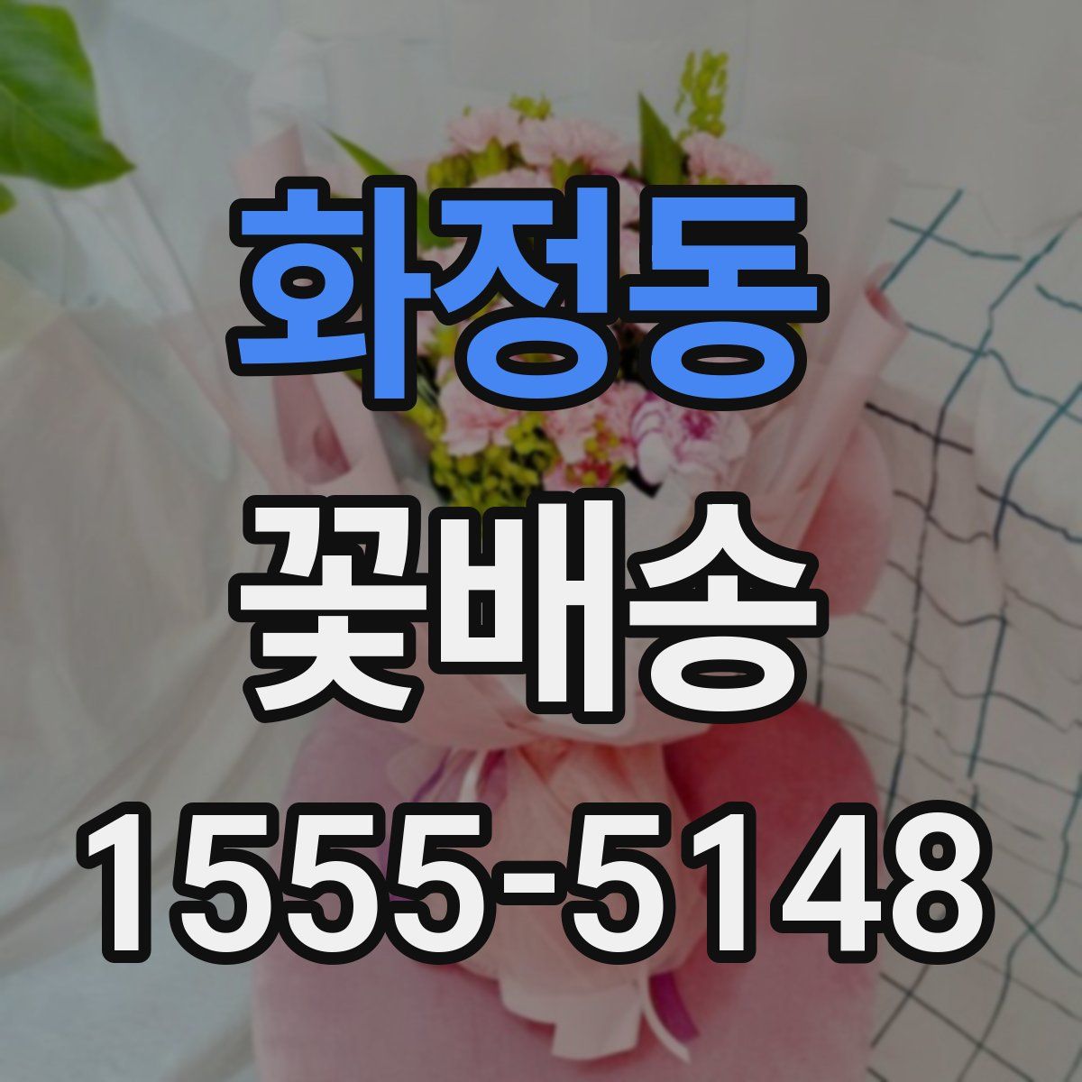 화정동 꽃배송