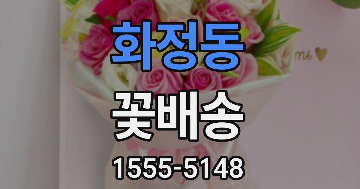 화정동 꽃배송