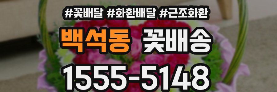 백석동 꽃배송