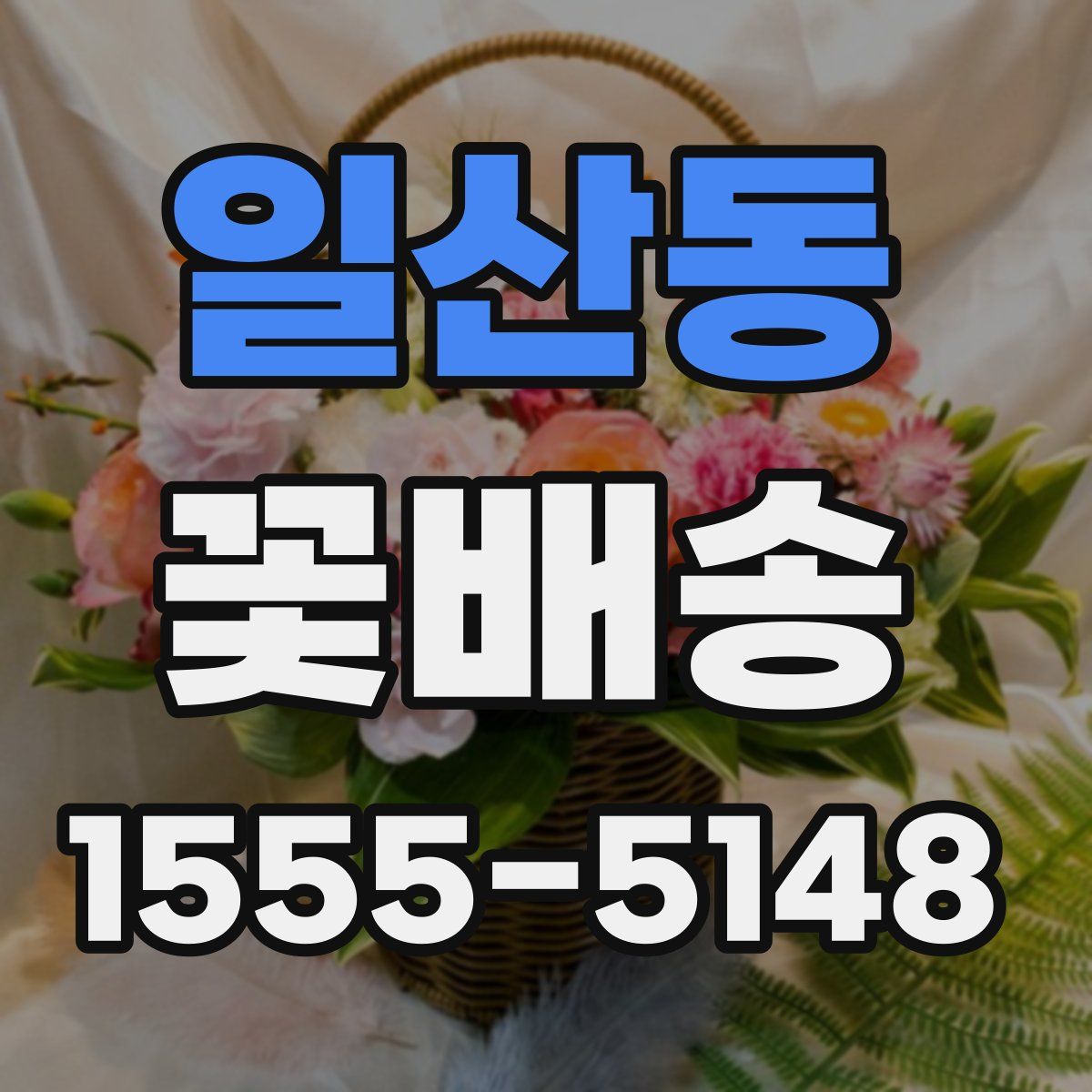 일산동 꽃배송