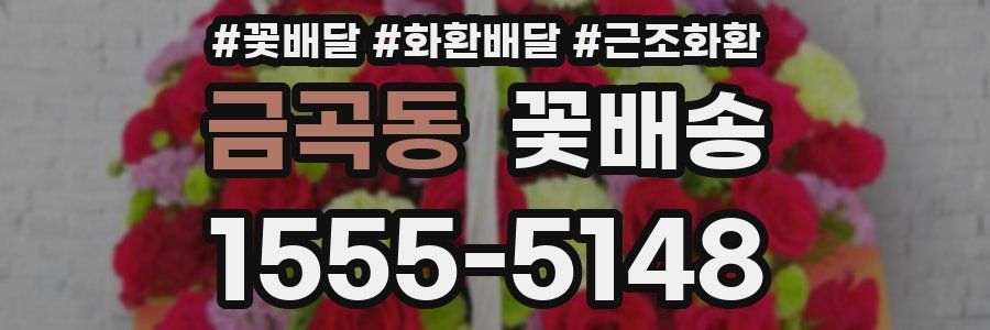 금곡동 꽃배송
