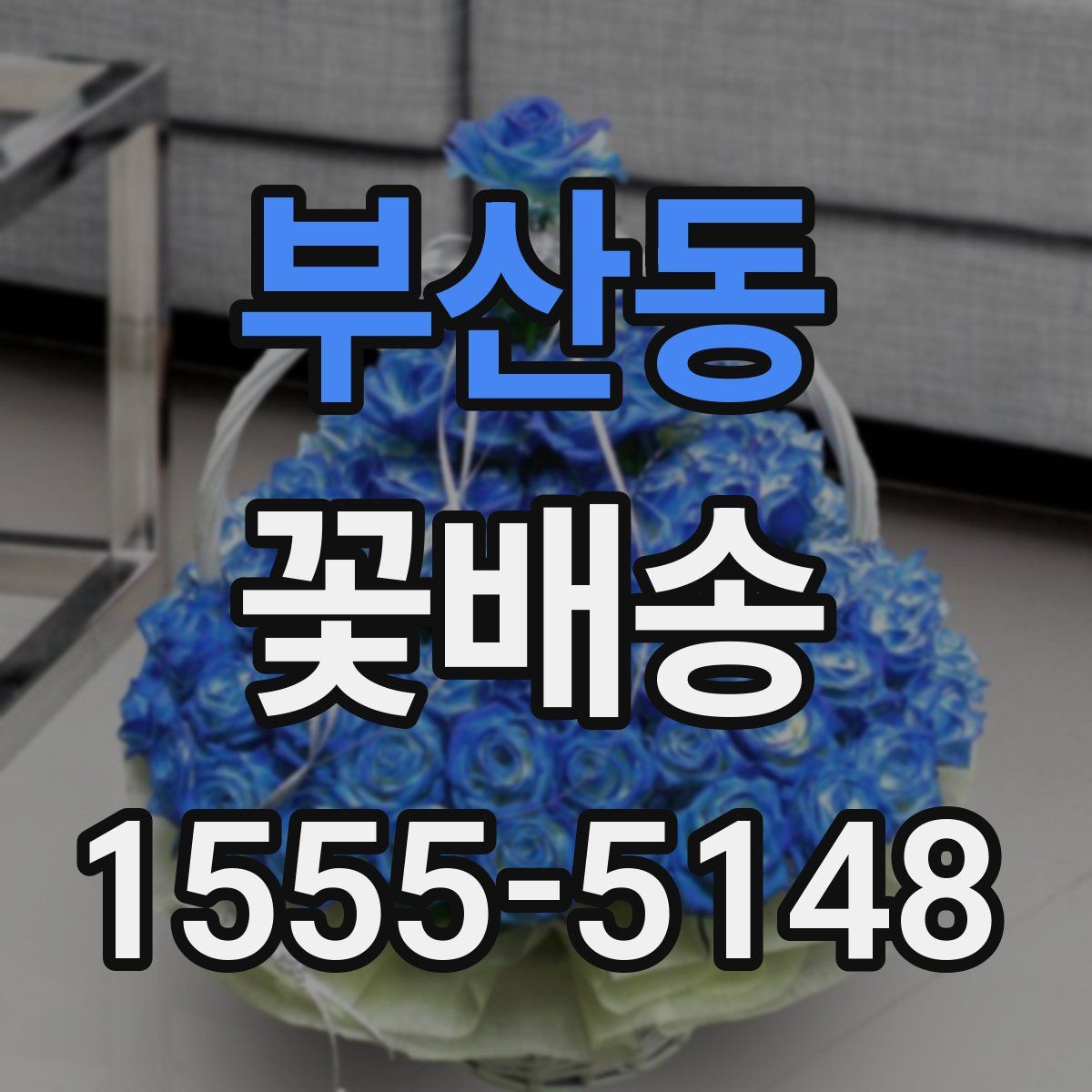부산동 꽃배송
