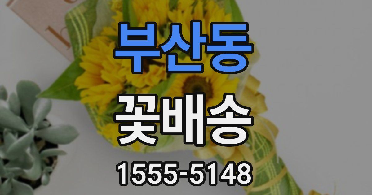 부산동 꽃배송