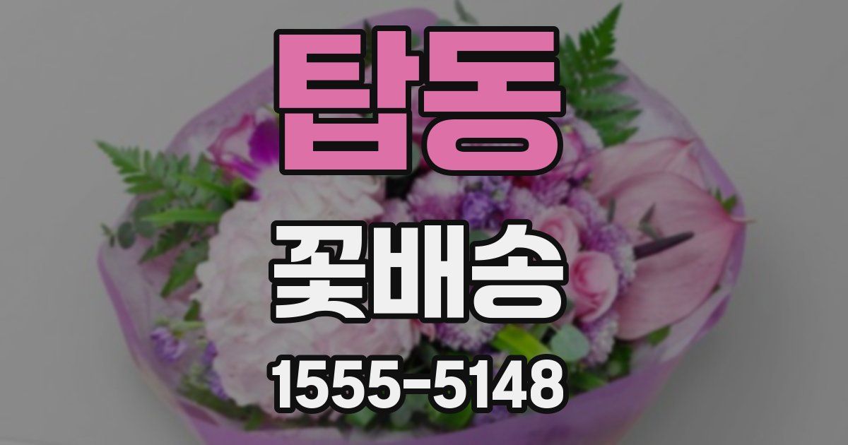 탑동 꽃배송
