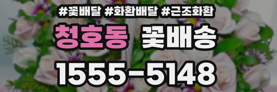 청호동 꽃배송