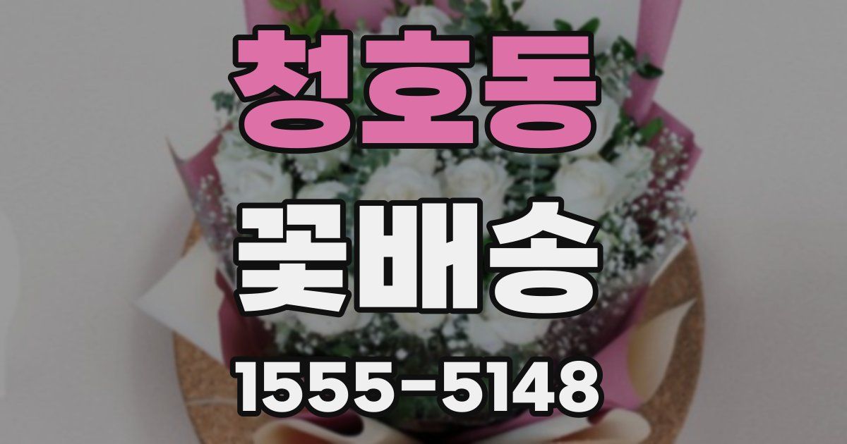 청호동 꽃배송
