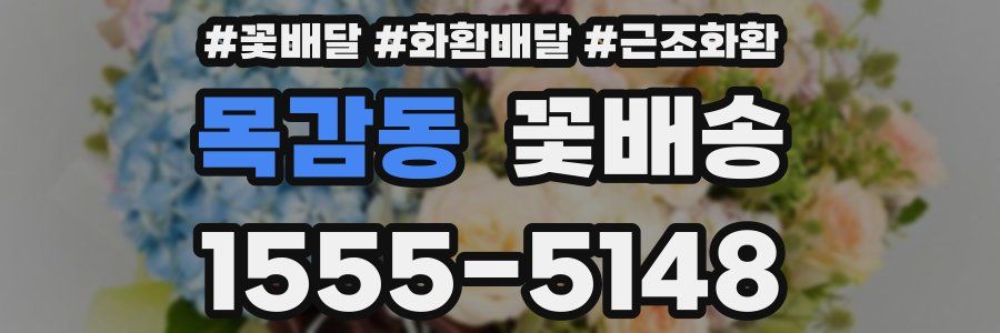 목감동 꽃배송