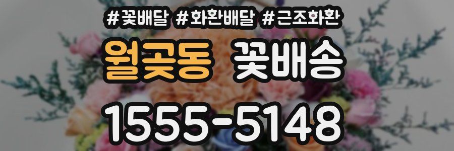월곶동 꽃배송