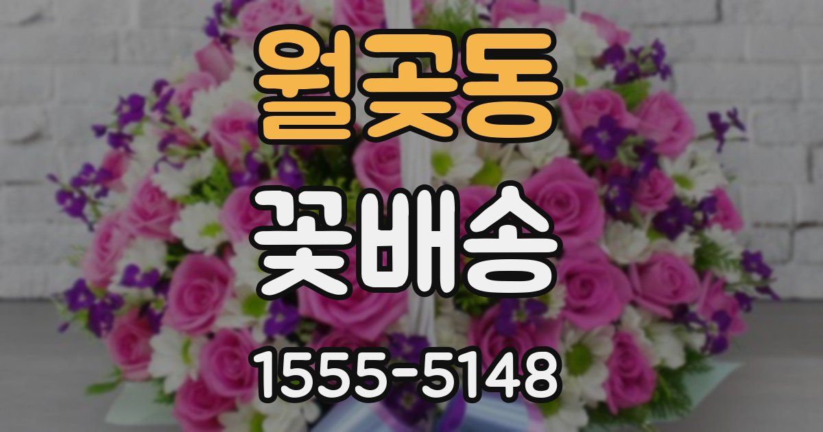 월곶동 꽃배송