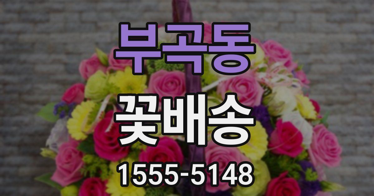 부곡동 꽃배송