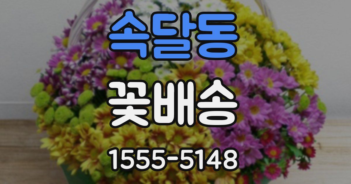 속달동 꽃배송