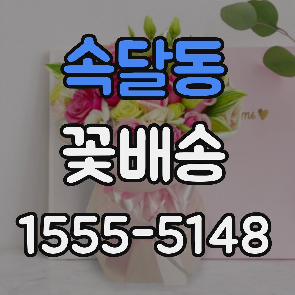 속달동 꽃배송