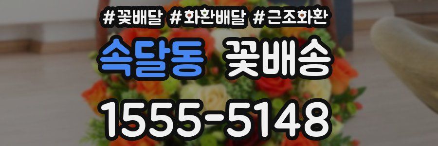 속달동 꽃배송