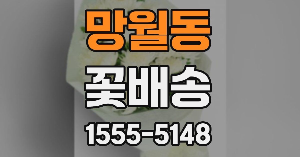 망월동 꽃배송
