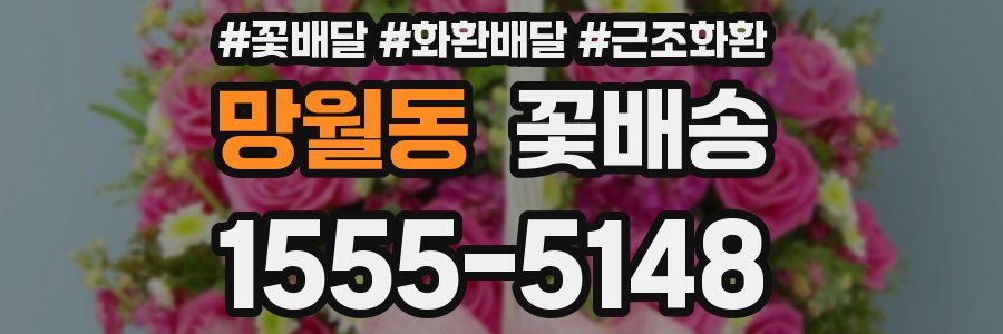 망월동 꽃배송